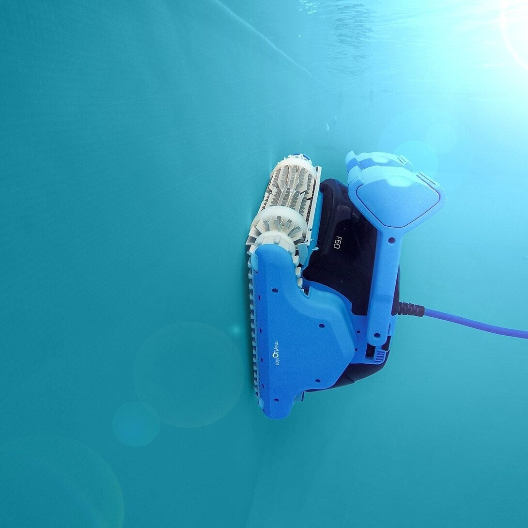 Dolphin F60 Poolroboter mit Combi Bürste (4622) – Bild 5
