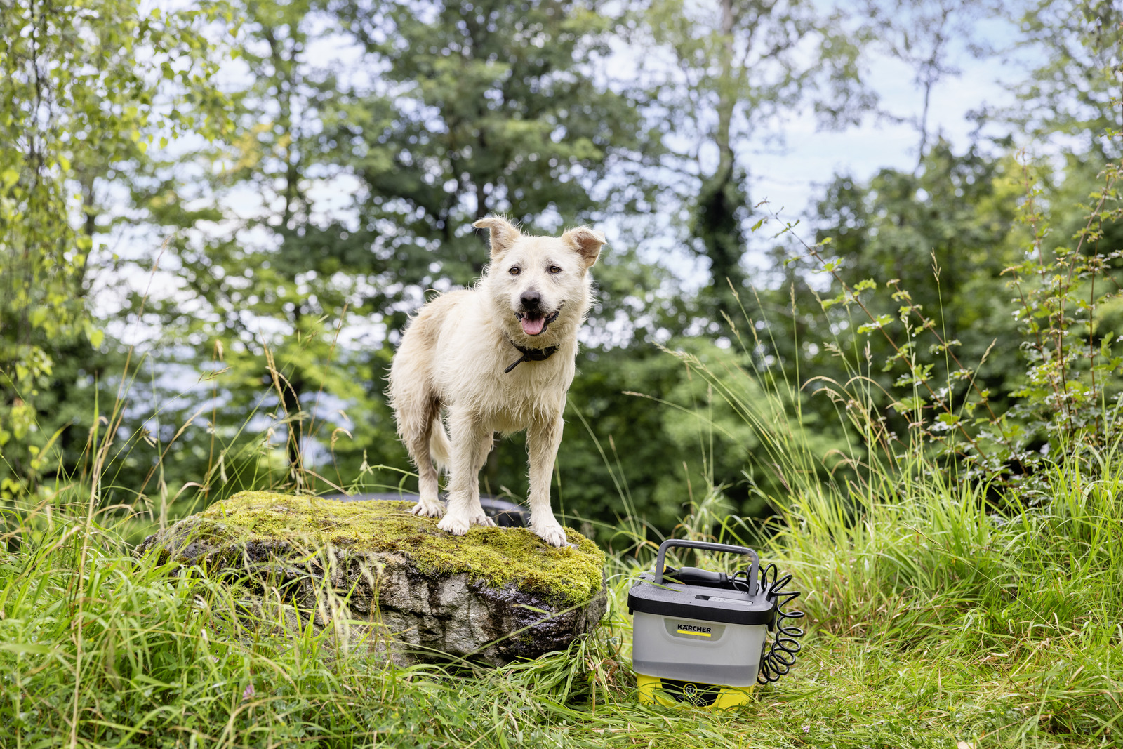 Mobile Outdoor Cleaner OC 4 + Pet Kit – Bild 9