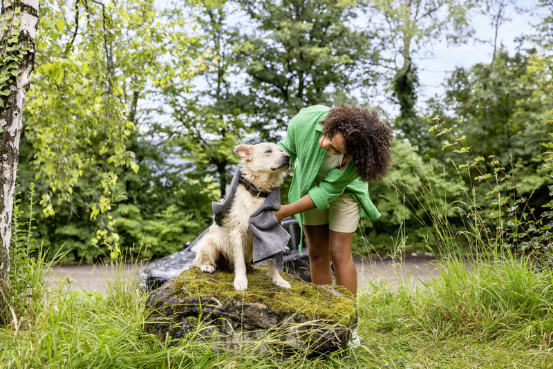 Mobile Outdoor Cleaner OC 4 + Pet Kit – Bild 17